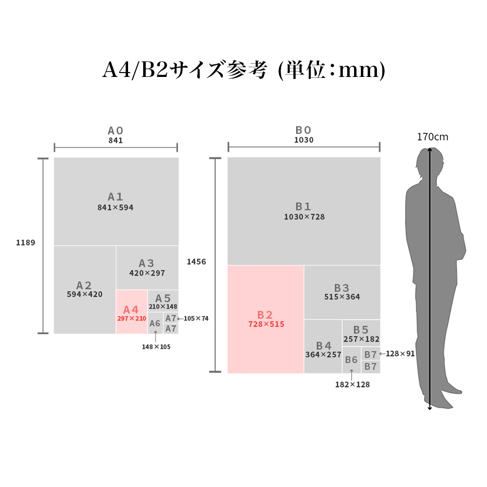 B2プリント 向井秀徳-003 | BJ